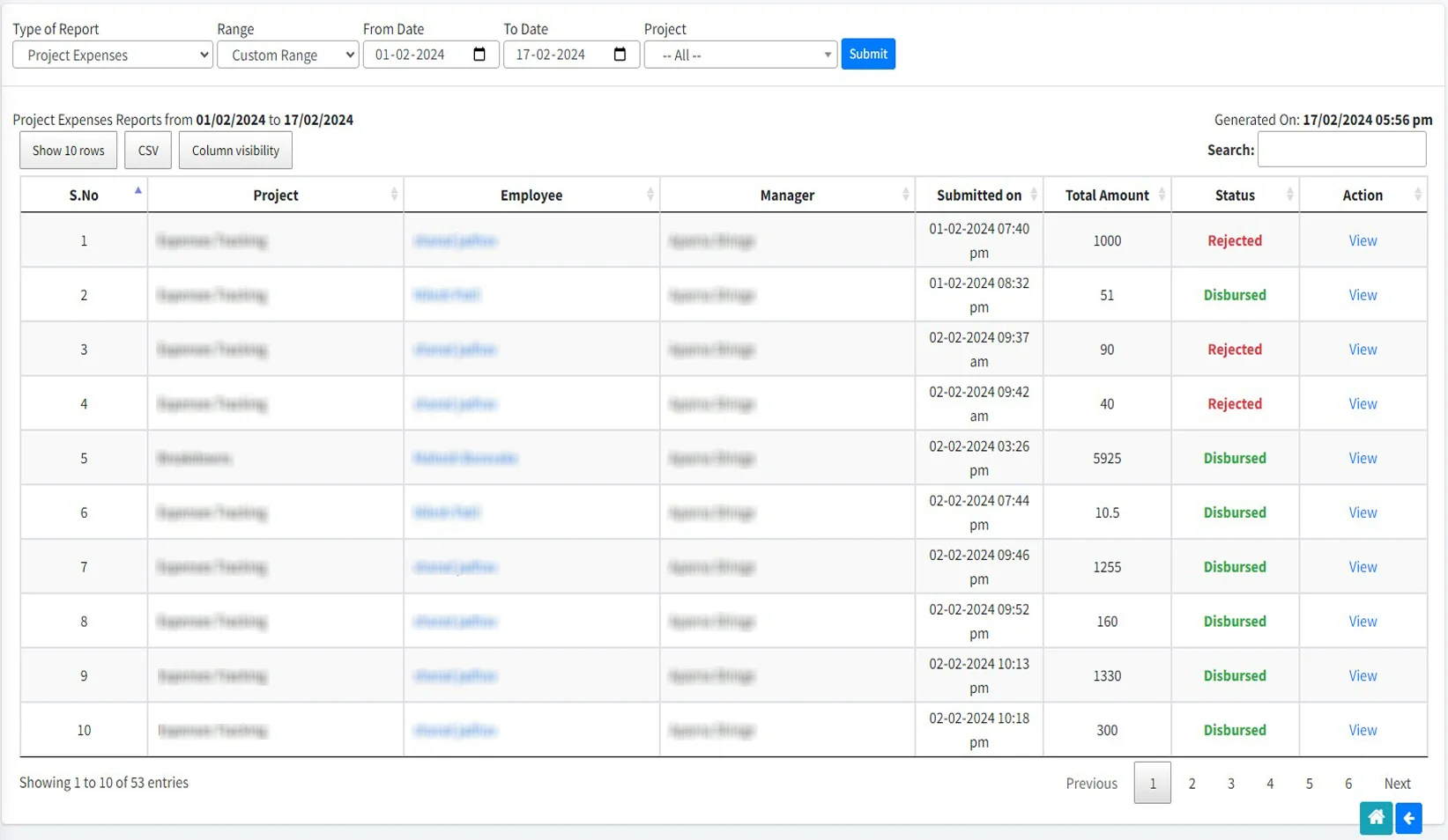 Project Expense Report